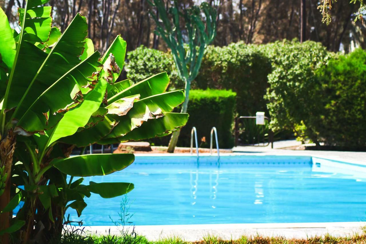 Moon-Light Studio Hotel Larnaca Exterior foto